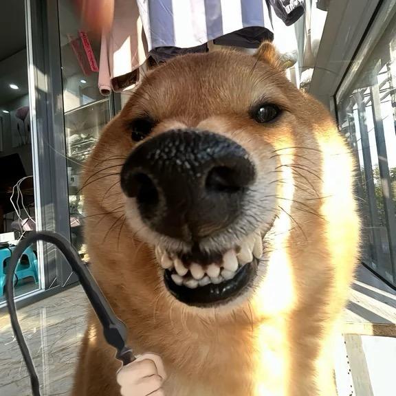 AAA水果王姐批发