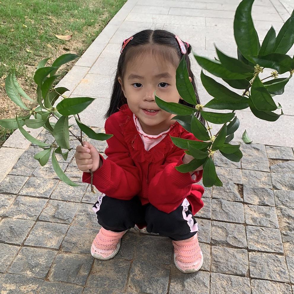 草上飞鹰