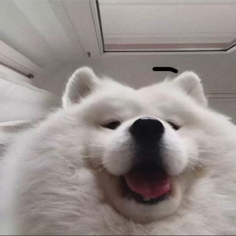 悲伤辣椒油^
