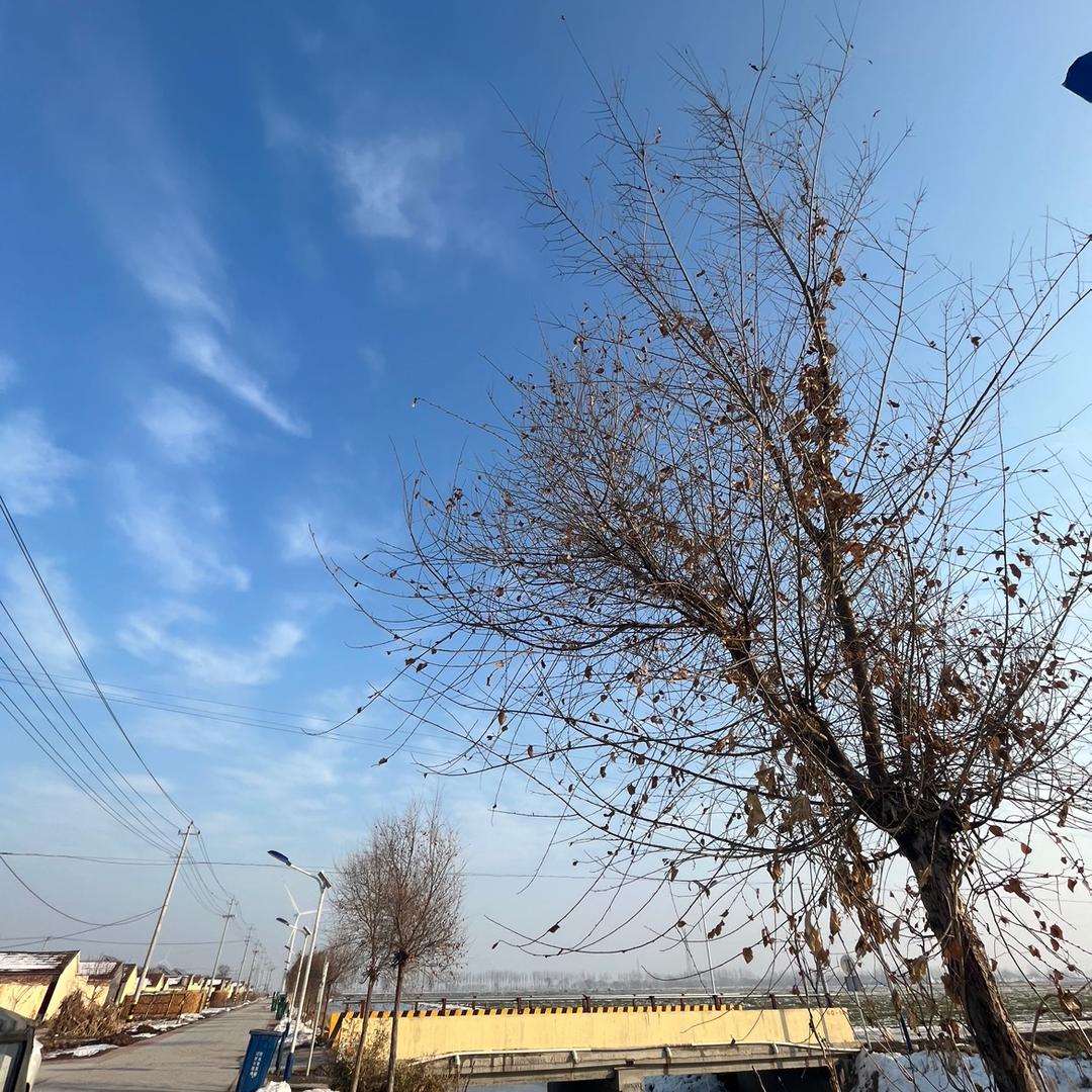 数控裁板锯源头厂家，一台也是批发价