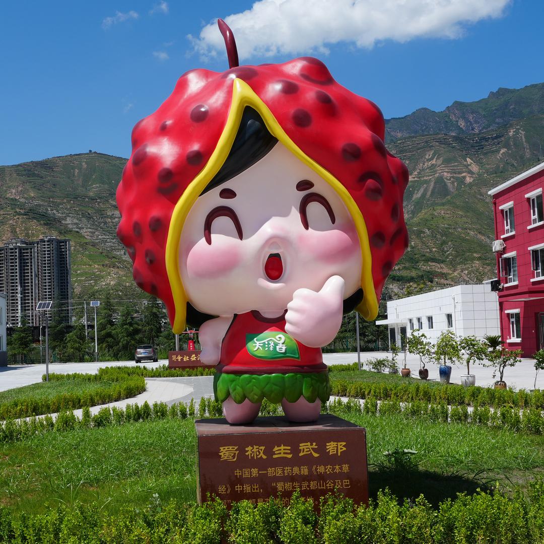 天泽香陇南市武都区天泽农林产品研发有限公司调味品专卖店