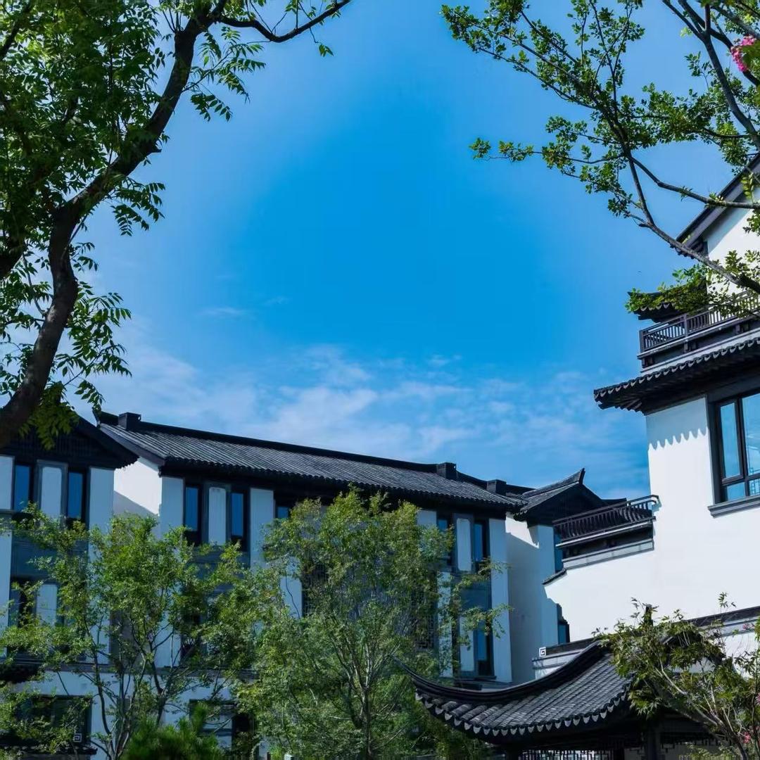 振兴乡村 张琪