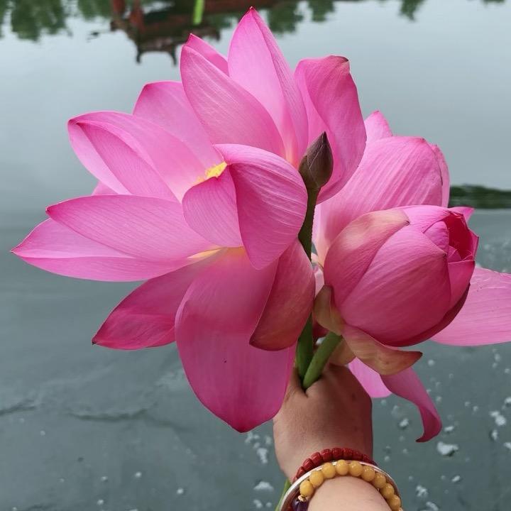 青山绿水\_
