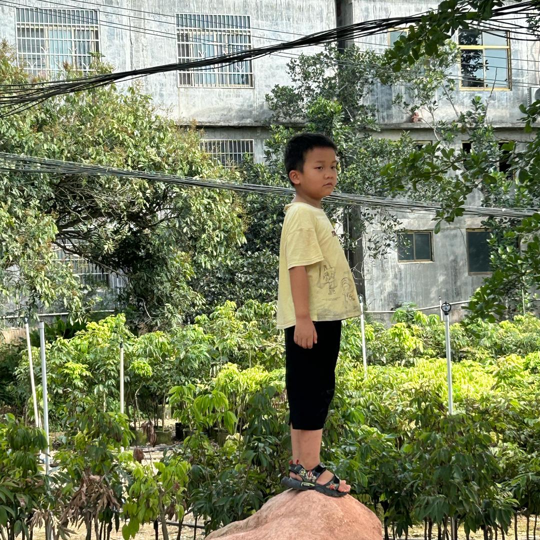 猪猪🐷