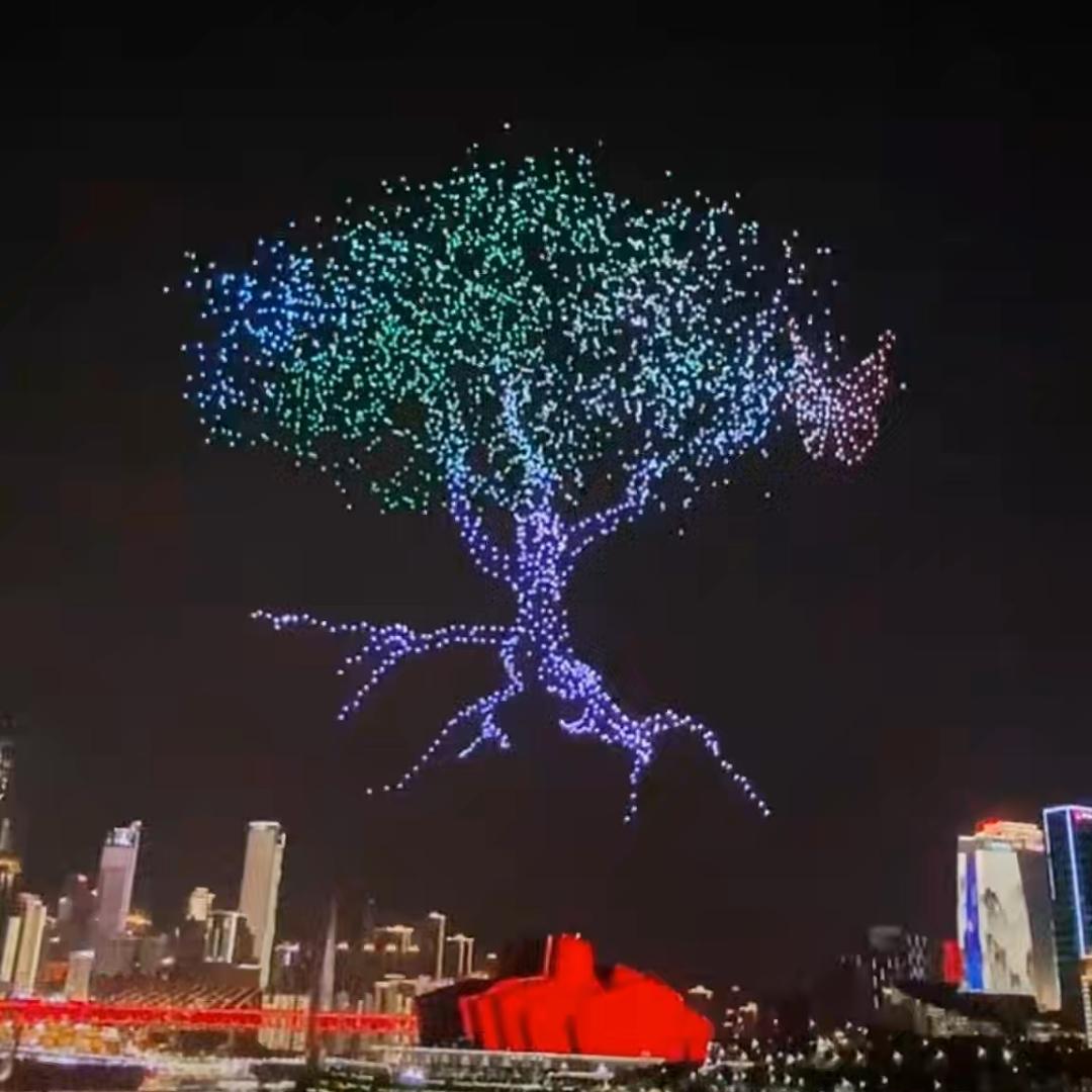 🌳木头 木头🌳