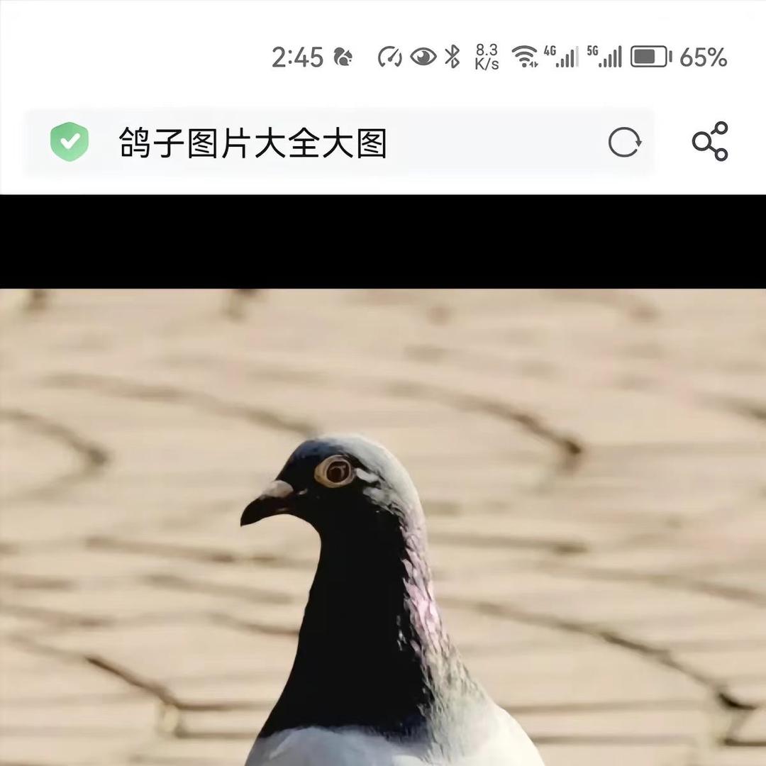 张兴全农产品