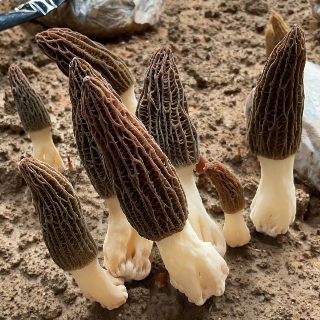 智慧田园小屋