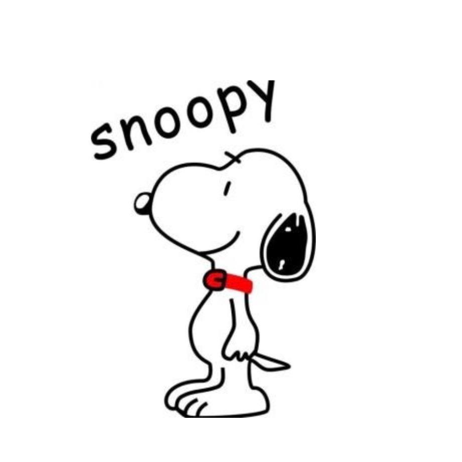 Snoopyjiafang