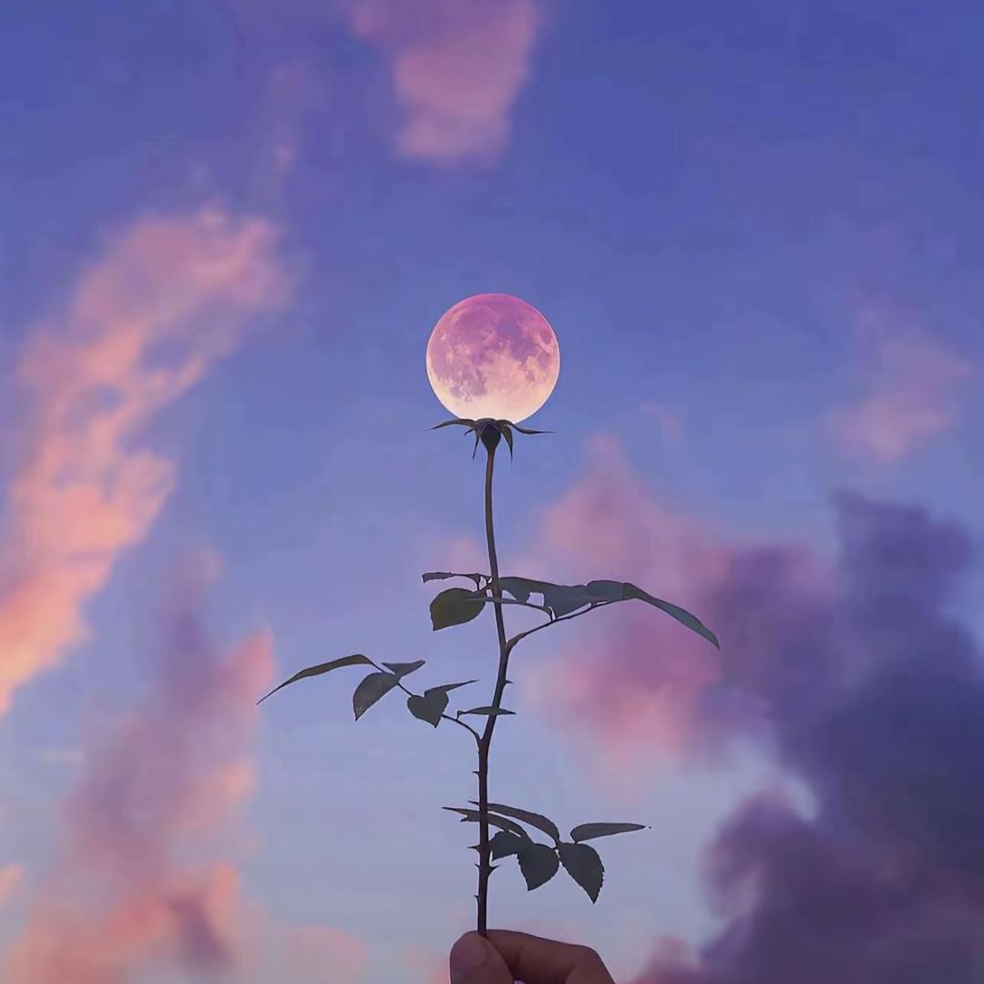 💗᭄余生ᝰᩚ随心ꦿ໌