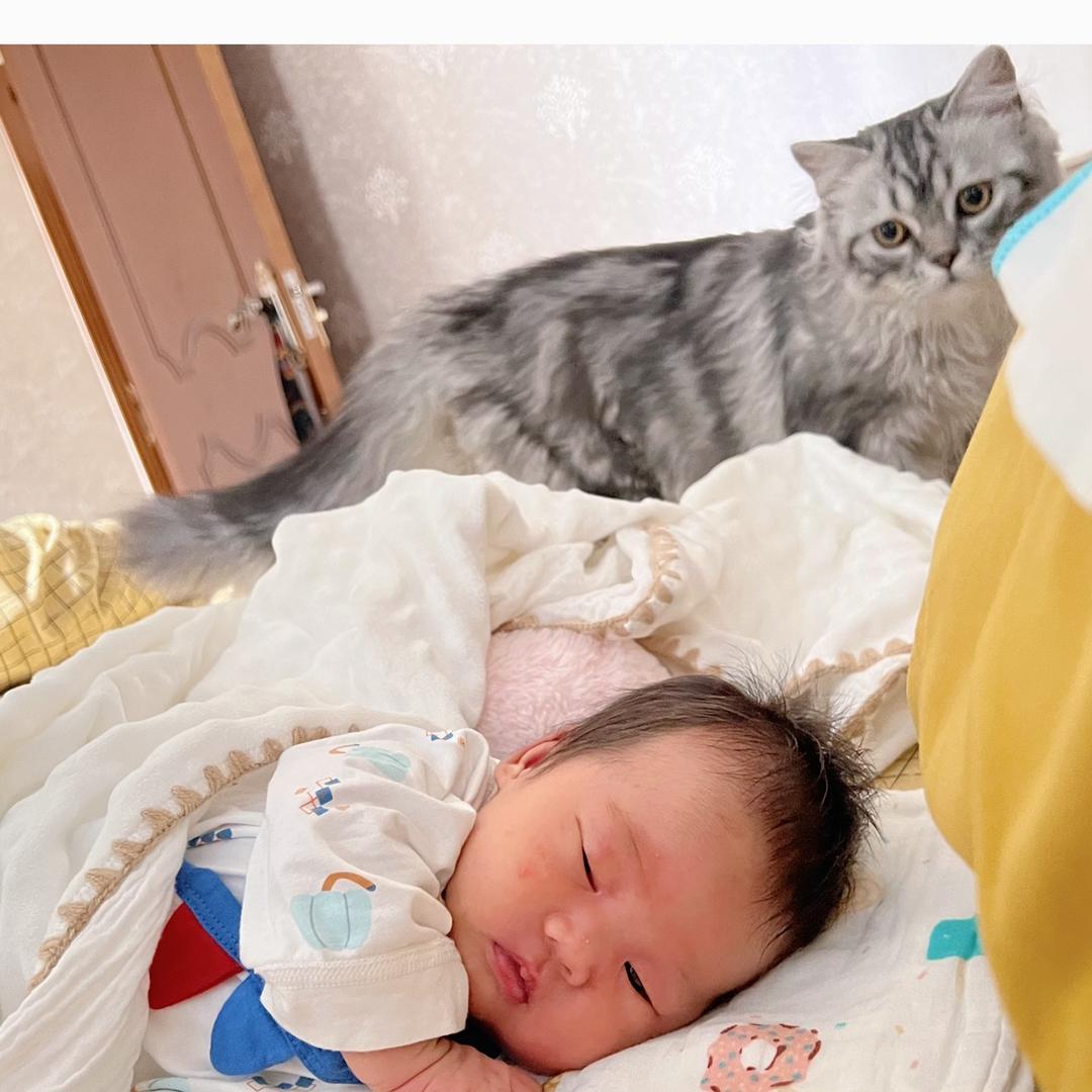 大滚滚呀