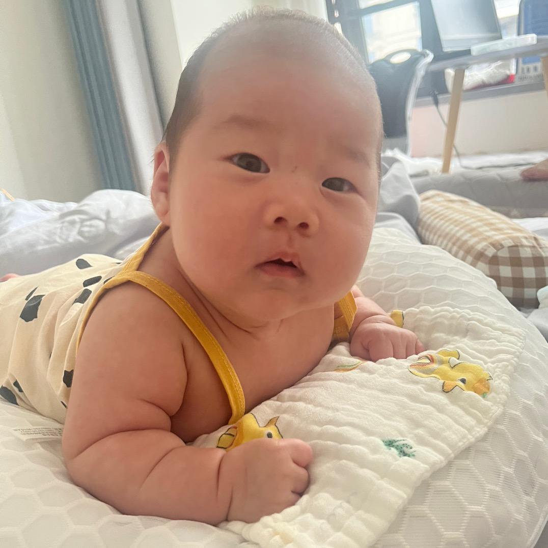 肉墩子的日常