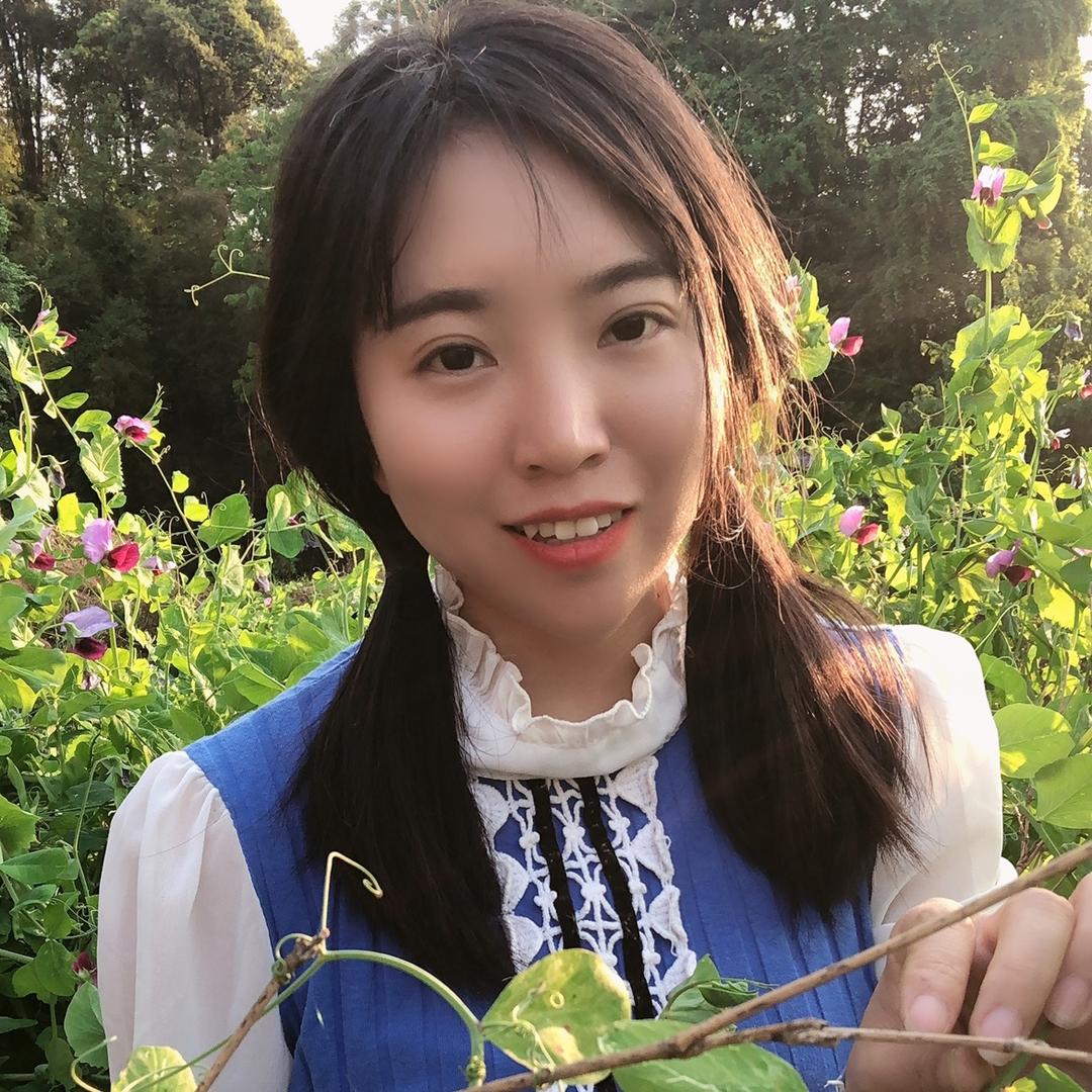 罗 琴