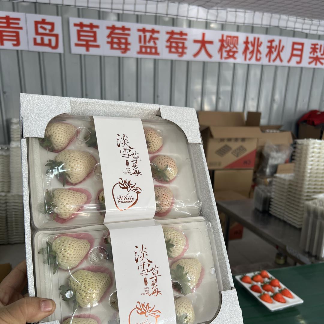 青岛金氏果品代收供应