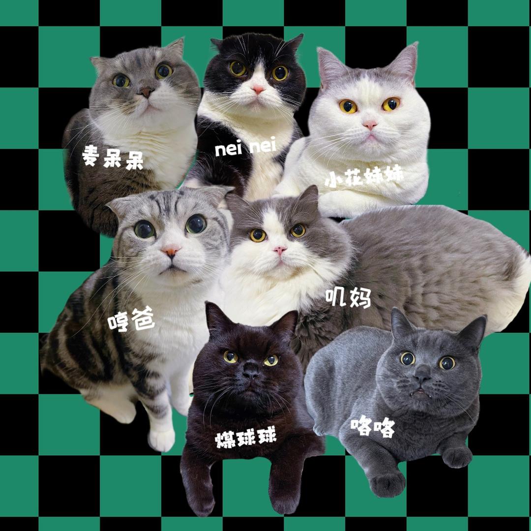 哼鸡不是鸡