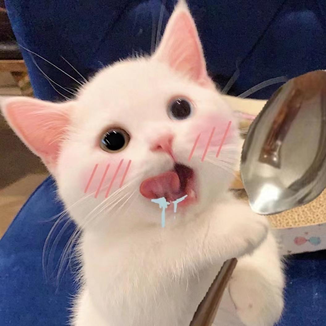 西藏贪吃喵好物推荐🐾