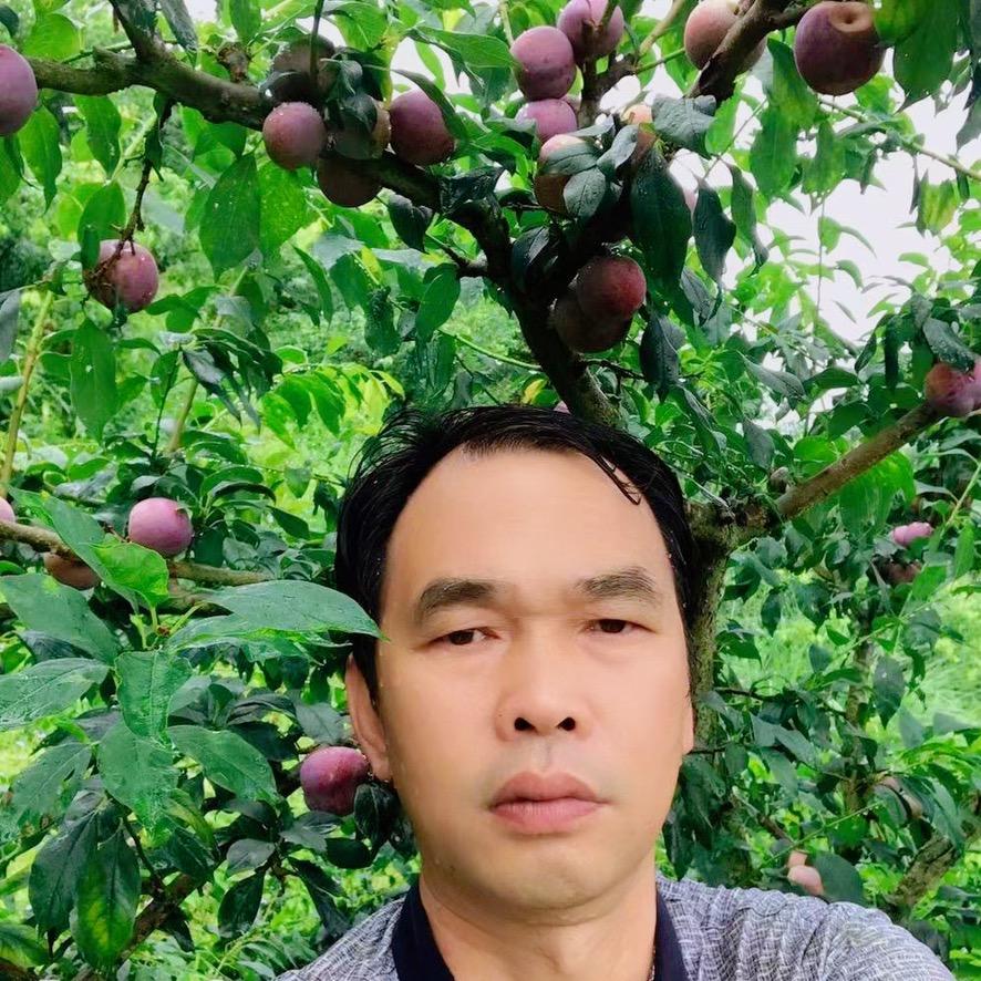 钱排黎十八哥果场