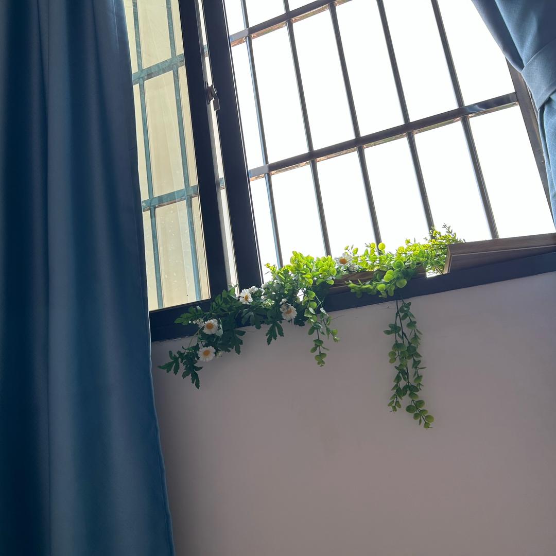 桥头镇一手房东租房