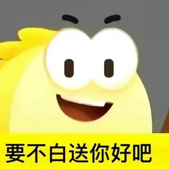 枣点睡觉