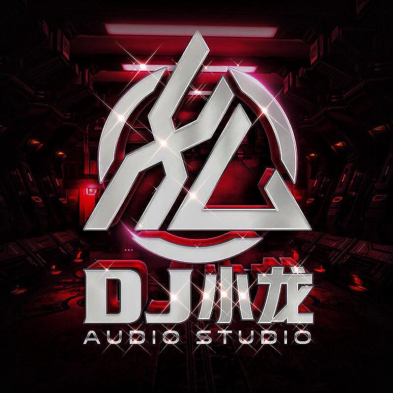 湖北❣️荆州DJ小龙（打碟🉑约）