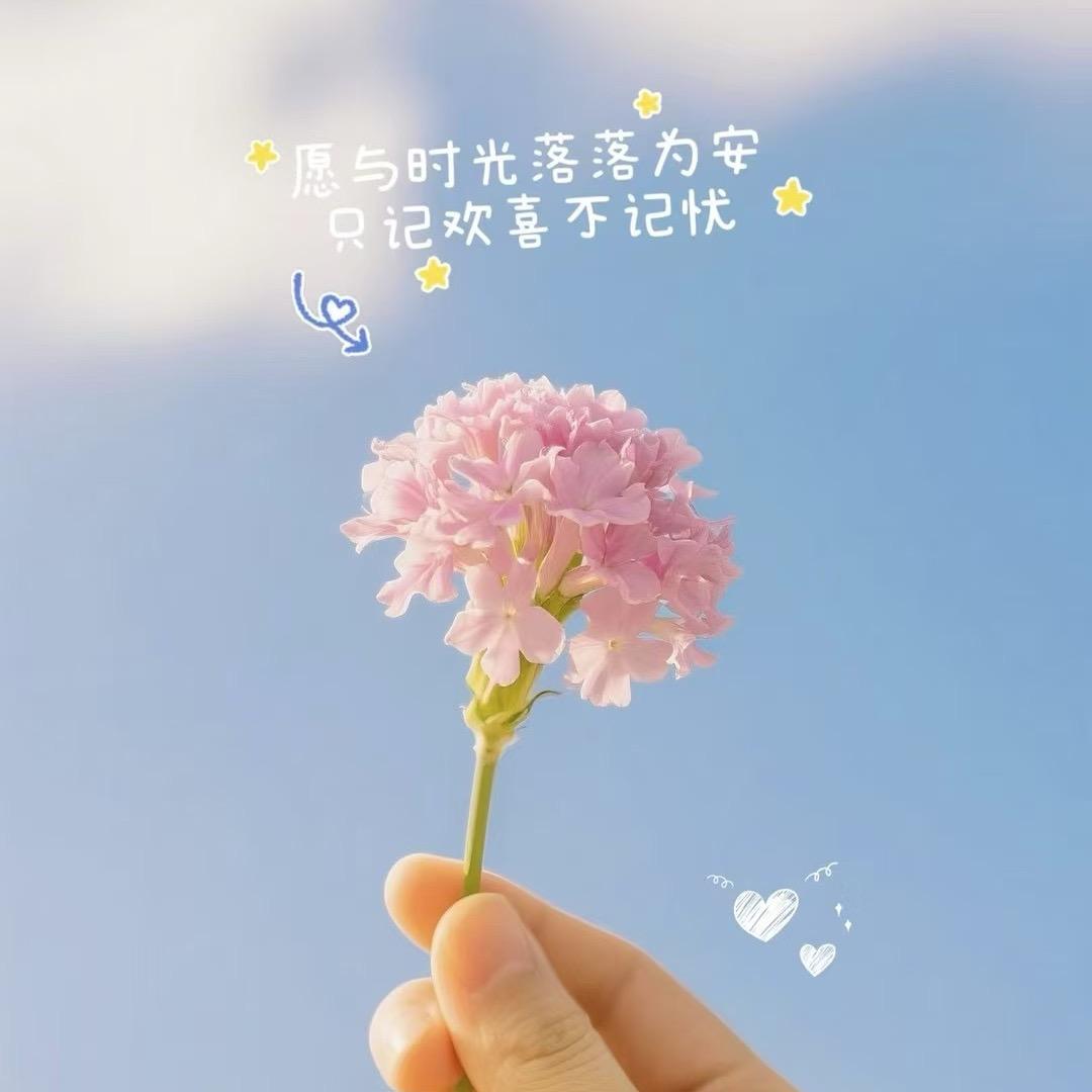 杨了个羊（福气满满）