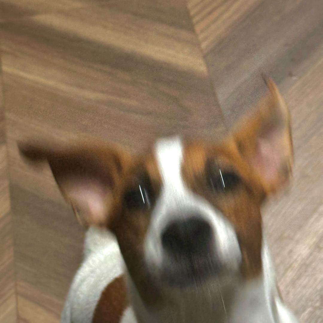 发 财