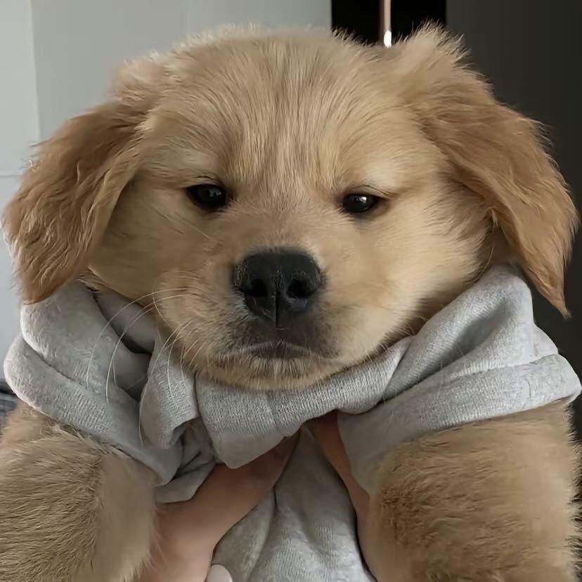 Ooo