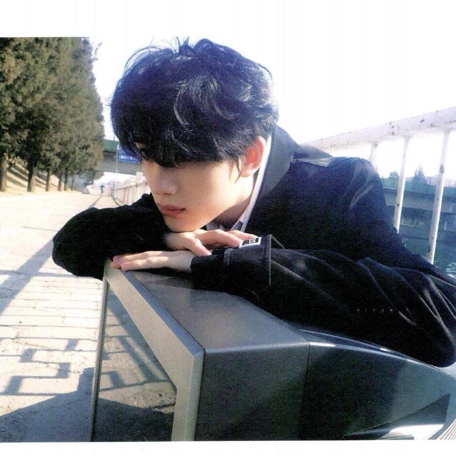 小狗长大要多久呀✨