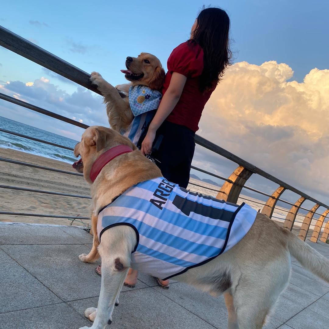 大萌lucky的铲屎官