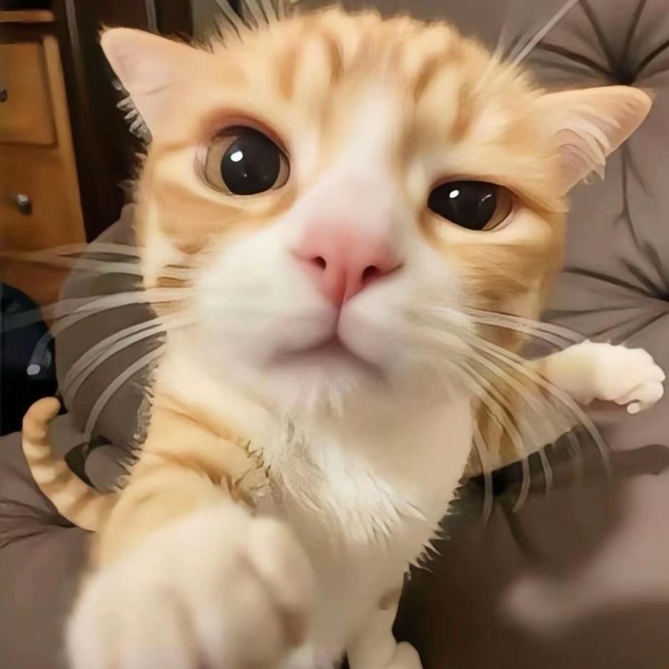 情为何物？