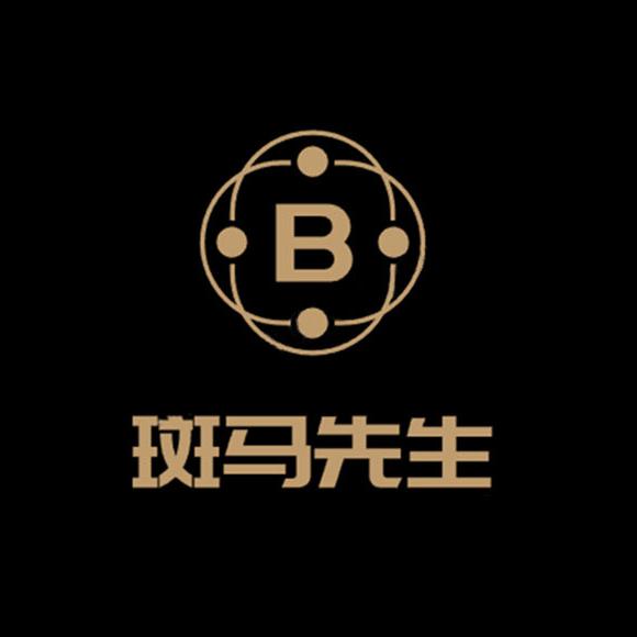 斑马先生品质假发