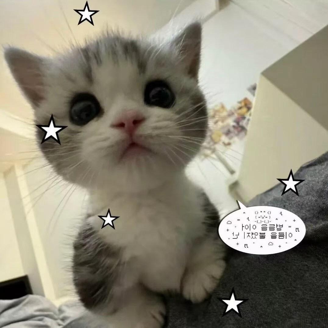 ㅇㅅㅇ