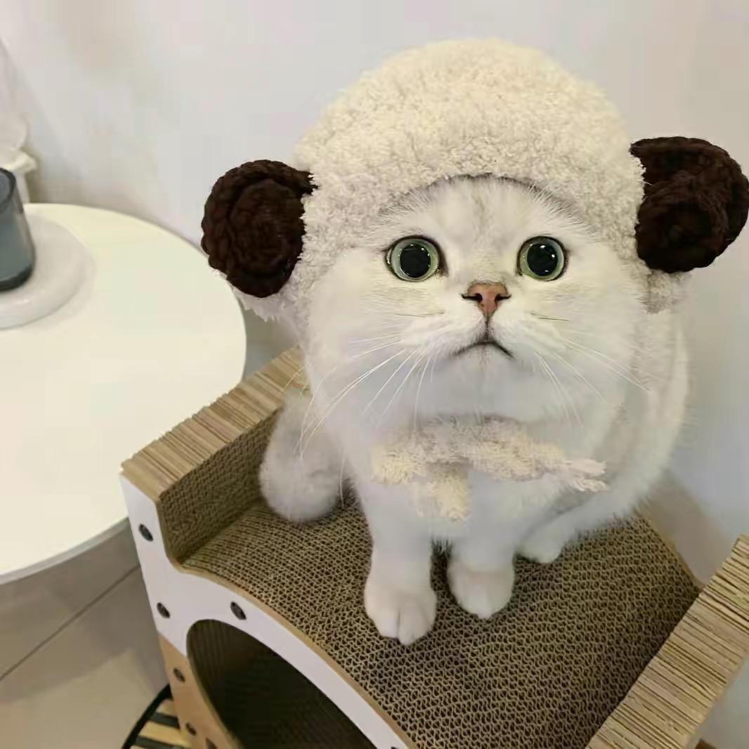 青岛小哥