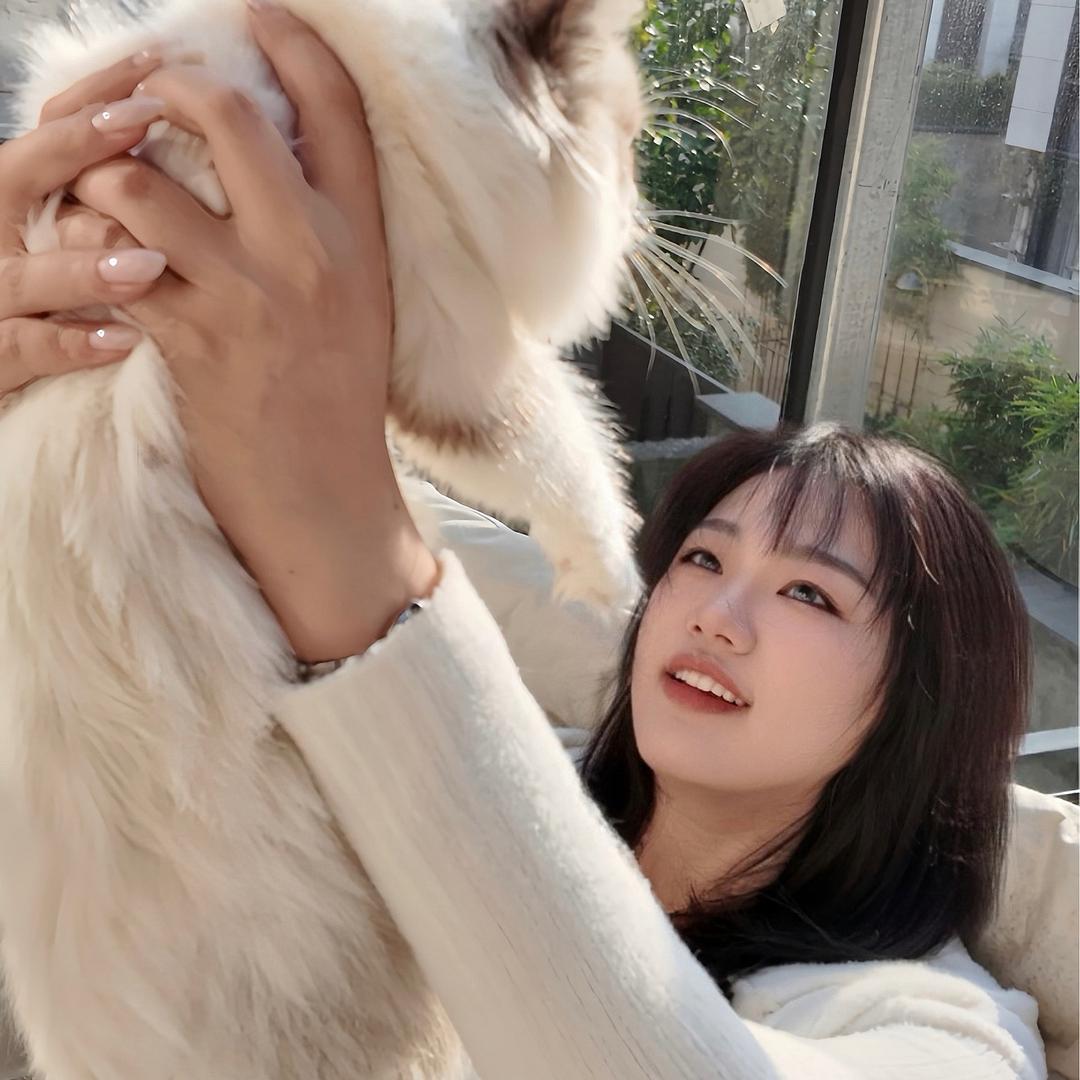 洁倪姨姨猫舍