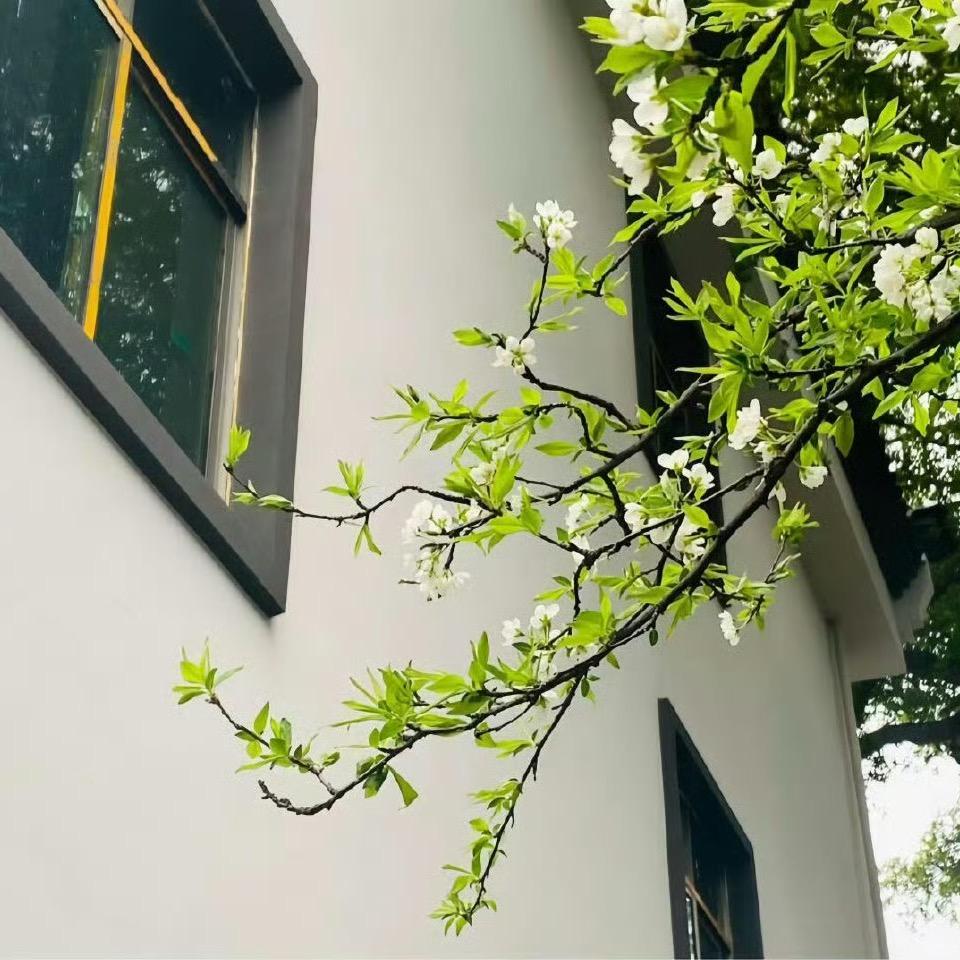 -唬唬