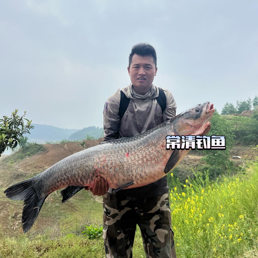 常清钓鱼🎣