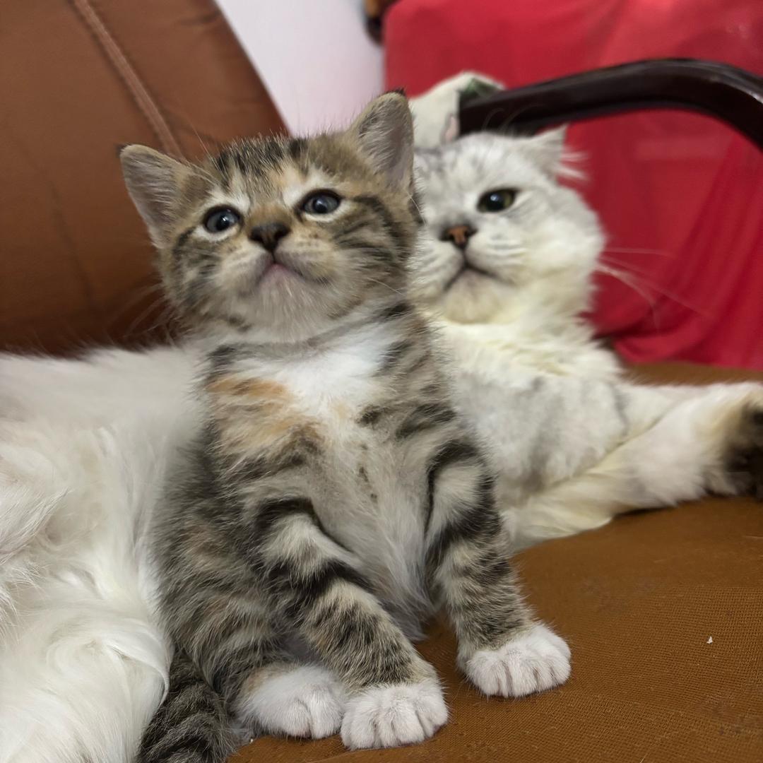 我🏠有宠多多😸