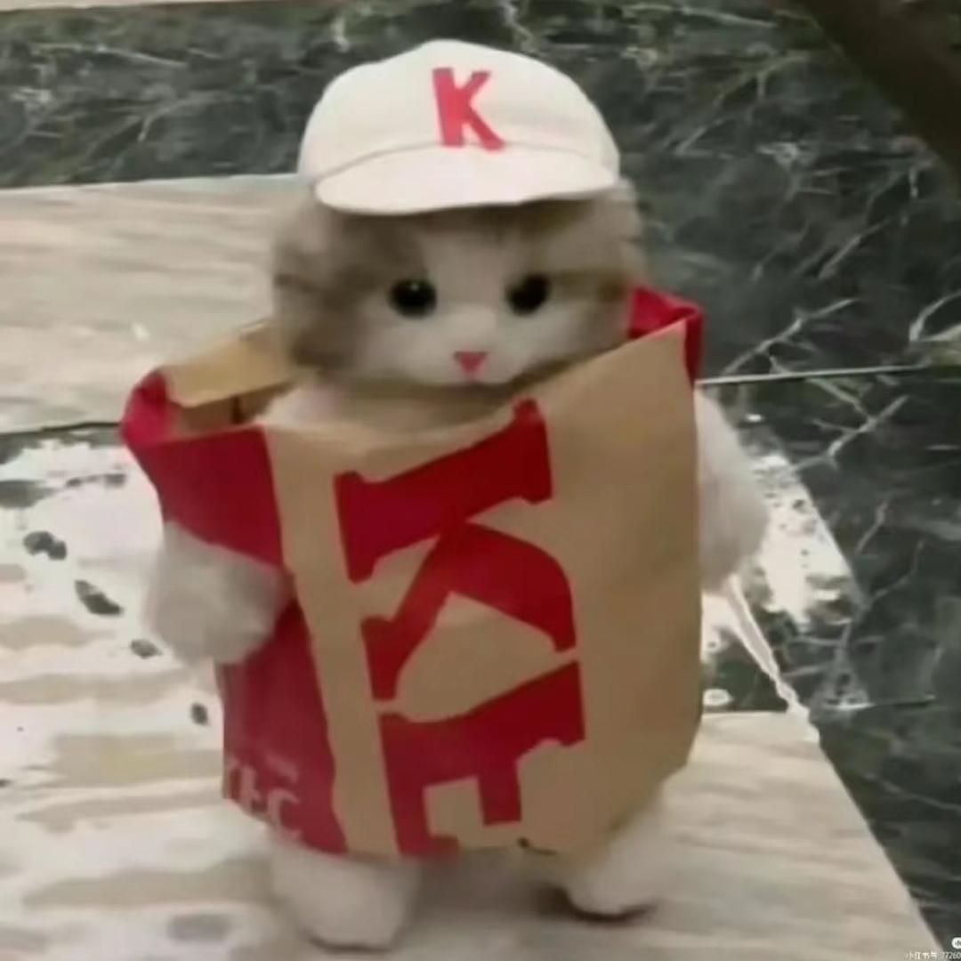 肯德猫