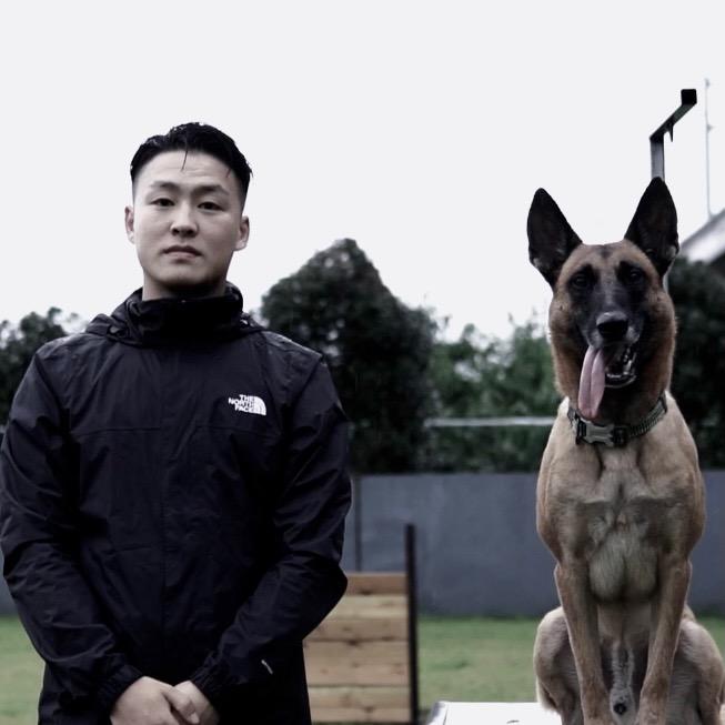 郑州-潘安训犬