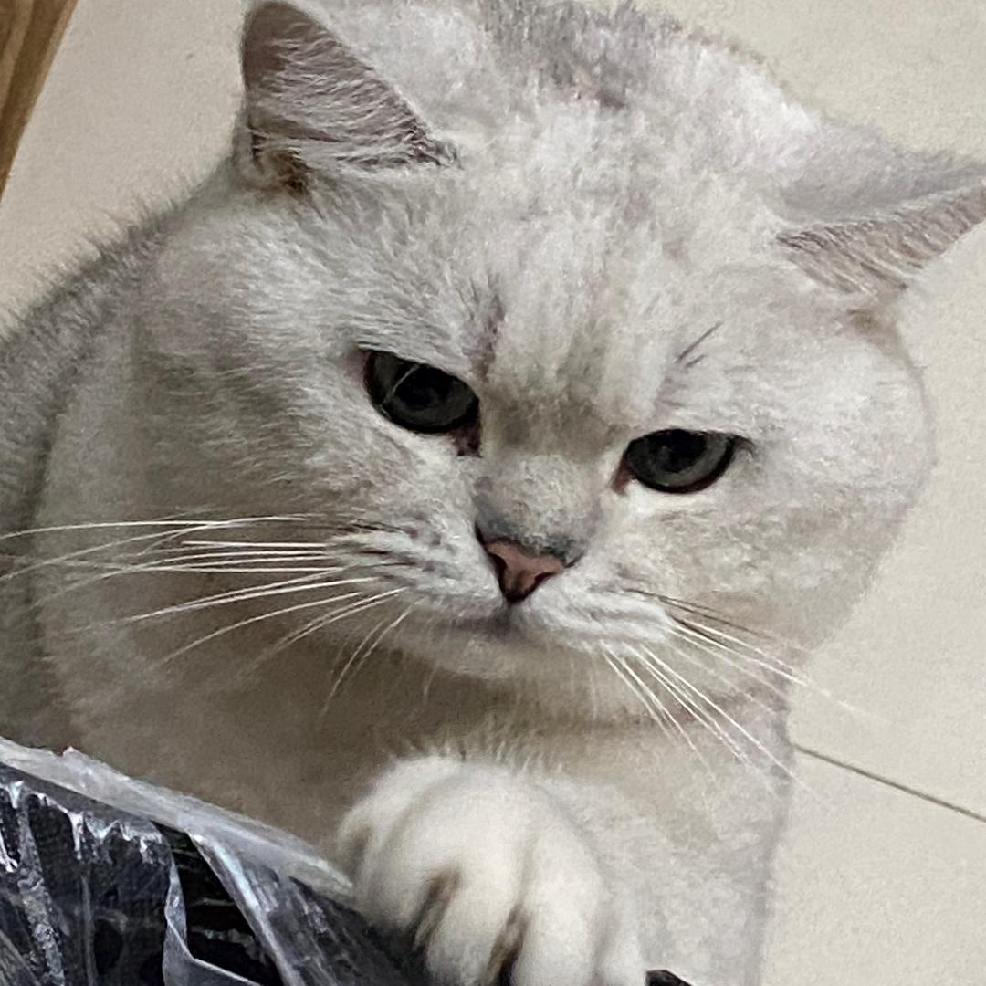 鼻屎拌饭给你吃😏