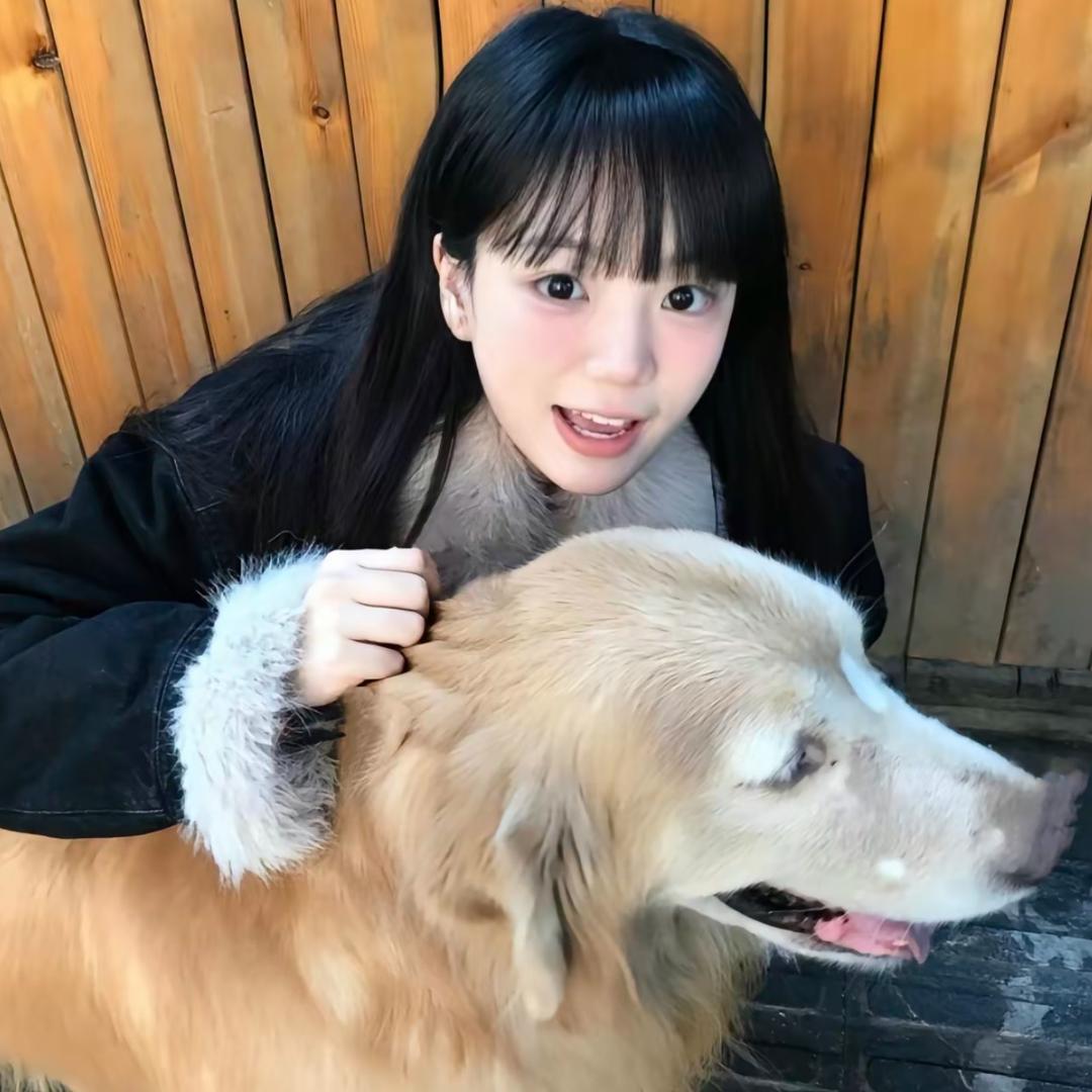 胆小狗