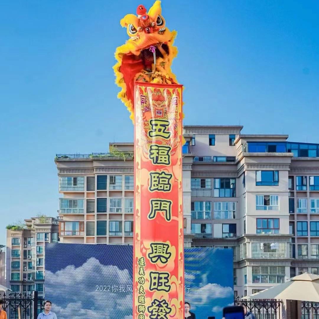 贵州舞狮（功夫醒狮团）
