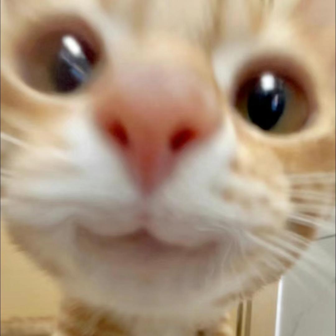 你别看了