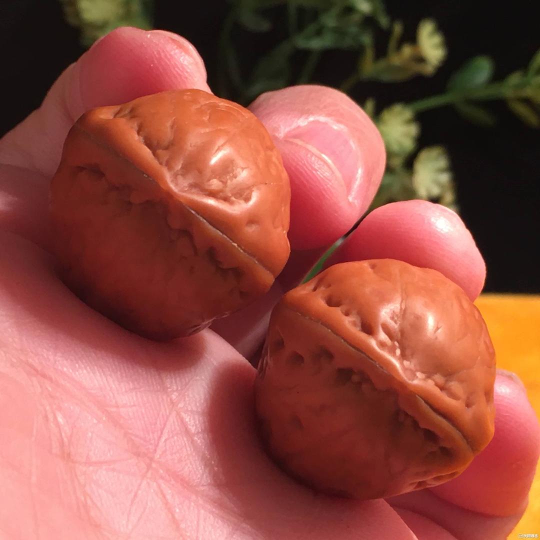 核桃周周