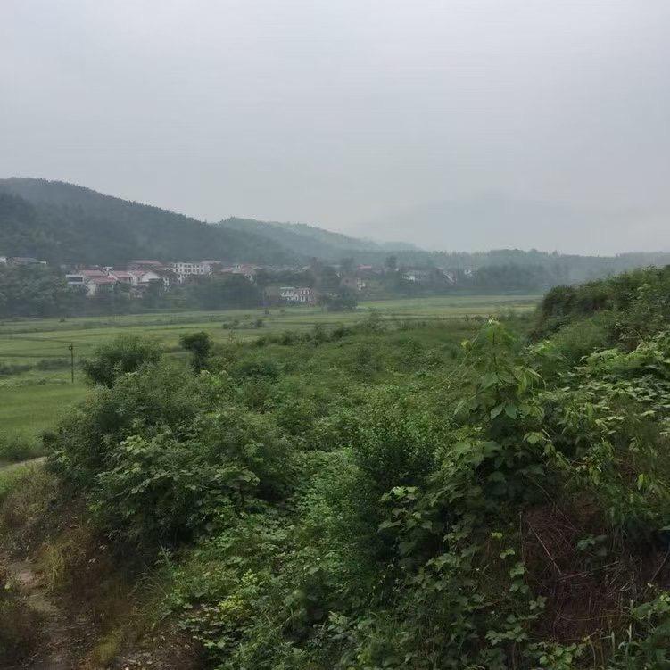 好好释怀