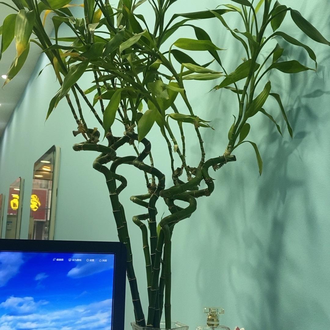 美好的回忆，难忘的情。