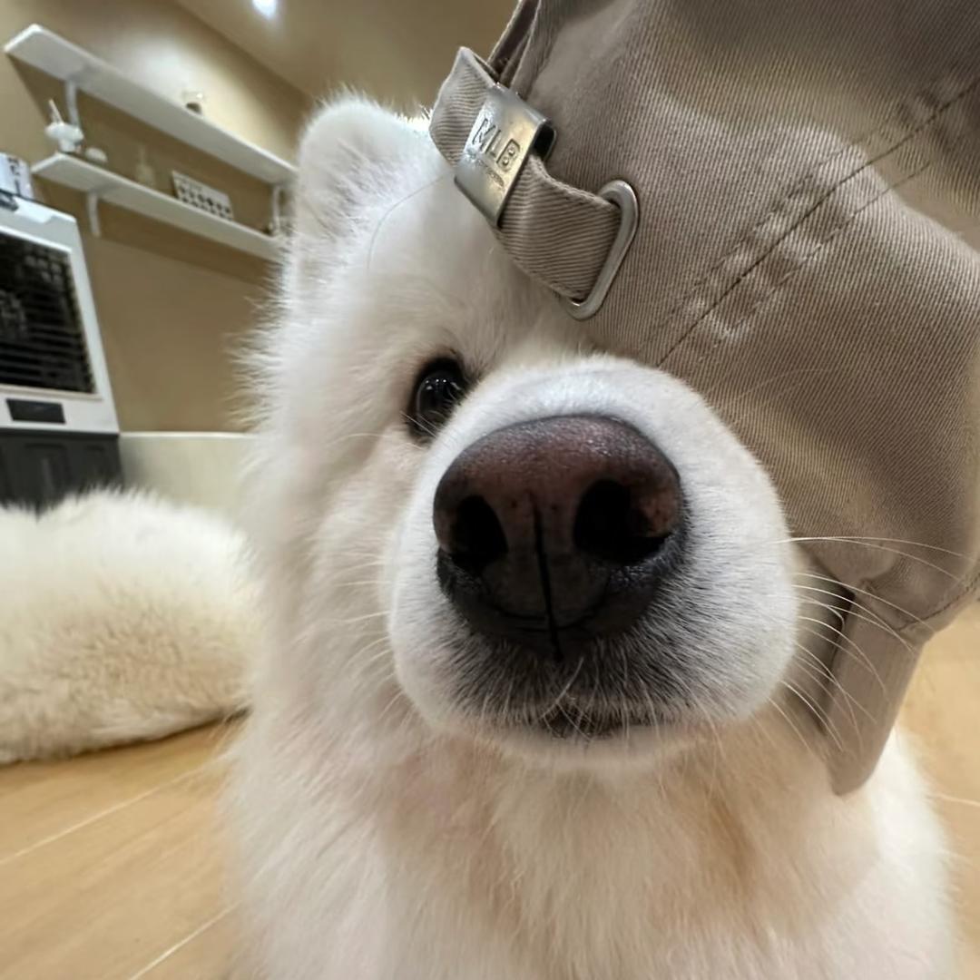 暮暮.