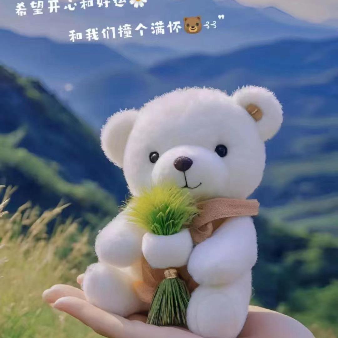 风之少女梦