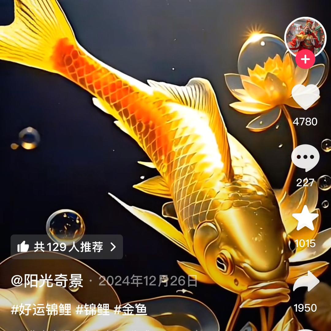 会飞的鱼（木）