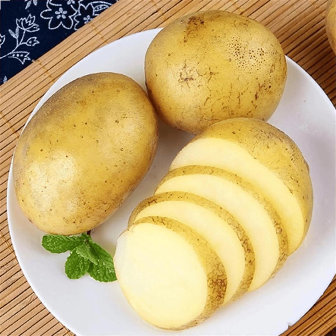西安中恒