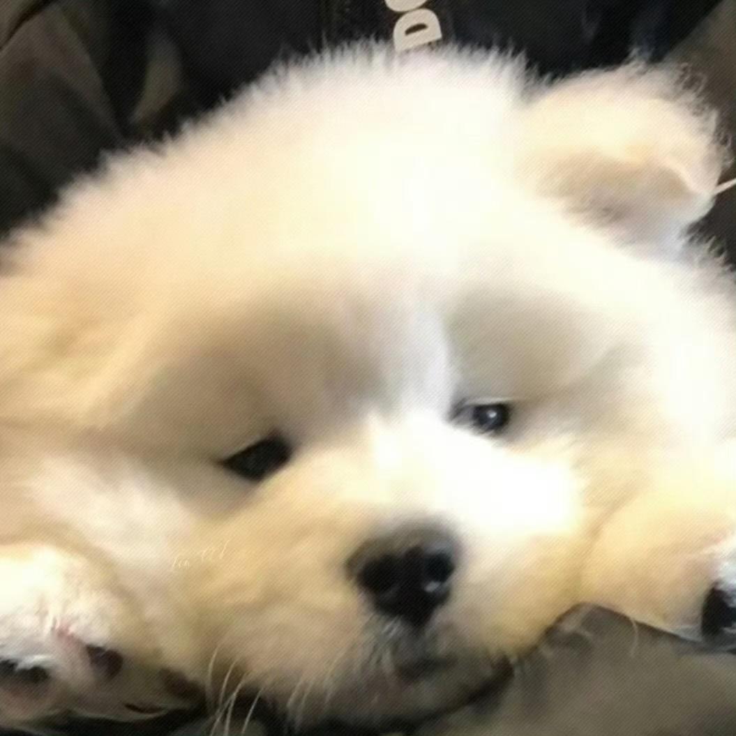 Auz_
